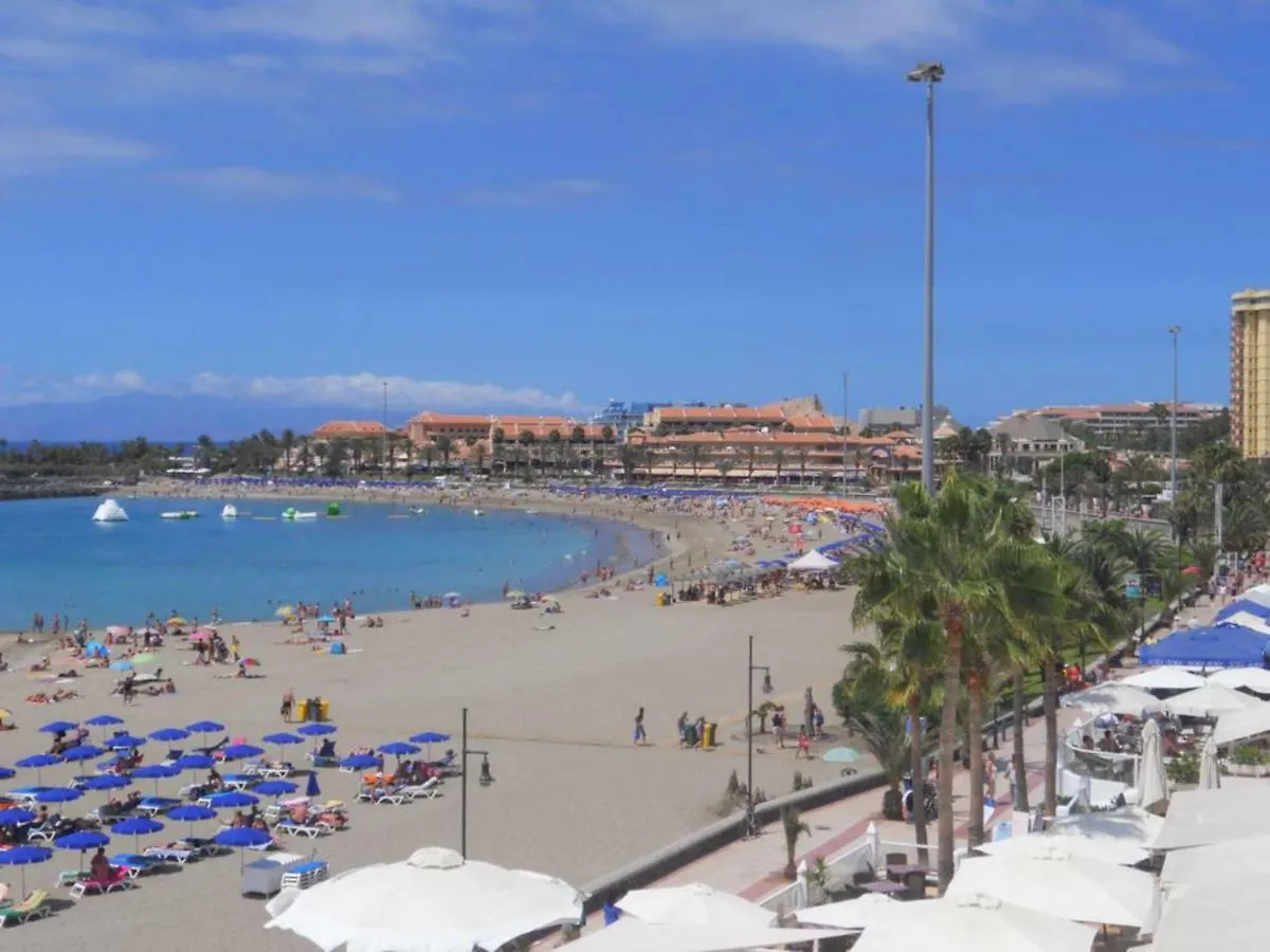 Sunny Apartment Near The Beach With Wifi, Balcony And Pool Los Cristianos  Los Cristianos (Tenerife)